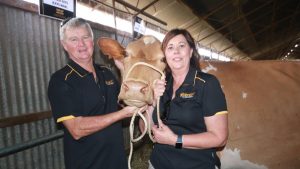 WA dairy cattle sold in Rochester