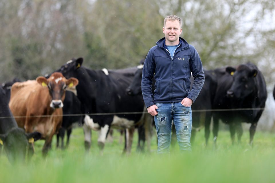 We don’t need 200 or 300 cows - we need 140 efficient cows – the Sligo dairy farmers expanding without a derogation