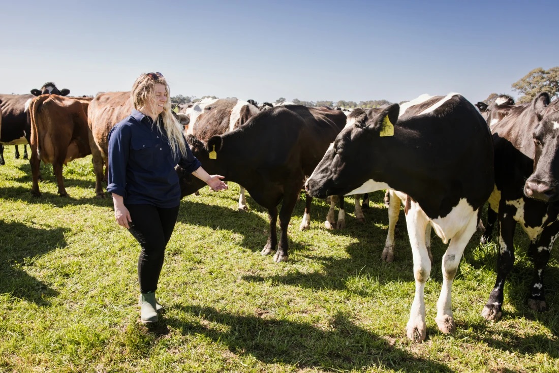 Why Fonterra puts its dairy farmers before profit