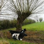 ‘Women in Dairy Conference’ is a chance to learn more