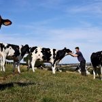 Arla boss dairy must unite to fight misinformation