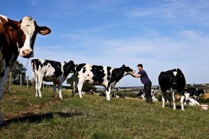 Arla boss dairy must unite to fight misinformation