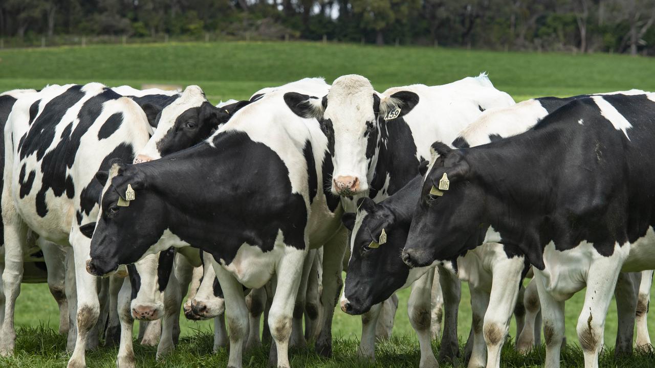 Australian Dairy Farm Numbers Decline In 2023/24 - EDairy News English