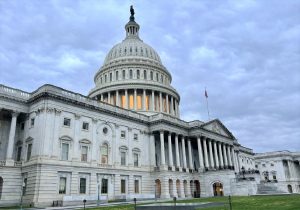 Baldwin confronts FDA officials on dairy labeling