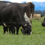 Carrot and stick for ag in new emissions plan