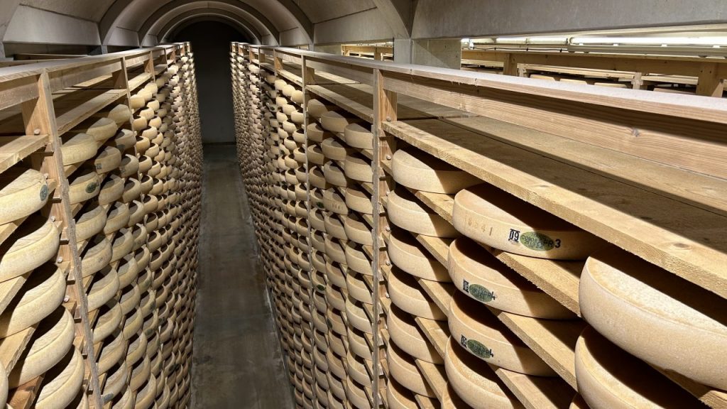 Comté cheese taste testing in a 100,000 wheel cellar