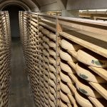 Comté cheese taste testing in a 100,000 wheel cellar