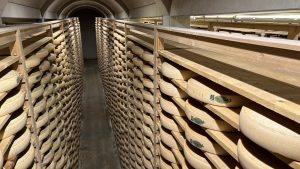 Comté cheese taste testing in a 100,000 wheel cellar