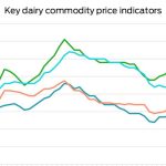 Dairy Comparing the pair