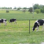 Dairy Directions series evaluates cybersecurity, markets