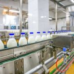 Dairy Industry Asks Will WMP or AMF Prices Crack First