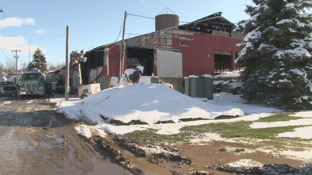 Dairy farmer is overwhelmed by community support after large barn fire