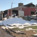 Dairy farmer is overwhelmed by community support after large barn fire