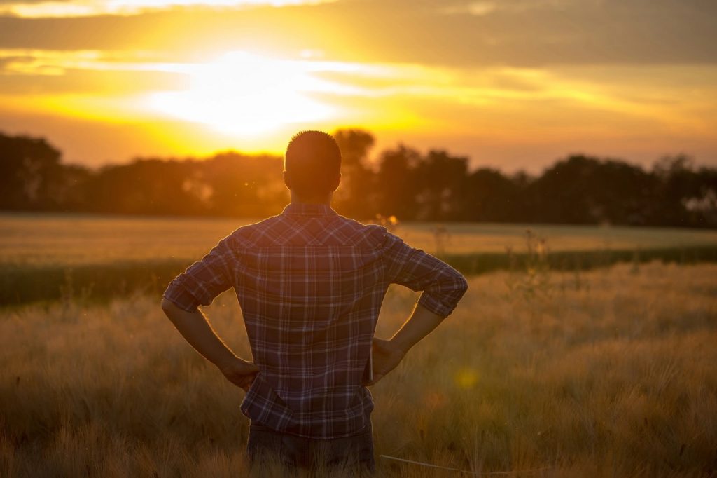 Farmer sentiment strong following U.S. election