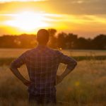 Farmer sentiment strong following U.S. election