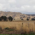 Farmers in southern NSW welcome rain but it is not enough to break drought