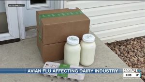 Local milk producer offers perspective on avian flu