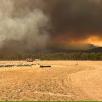 Total fire ban declared in Victoria amid 'extreme' bushfire risk