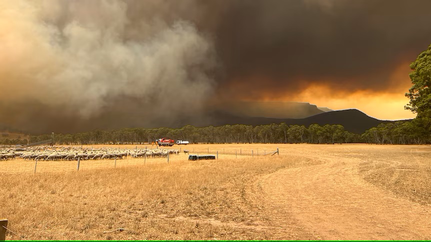 Total fire ban declared in Victoria amid 'extreme' bushfire risk