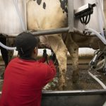 UK fight over dairy misinformation a ‘teachable moment’ for U.S. ag