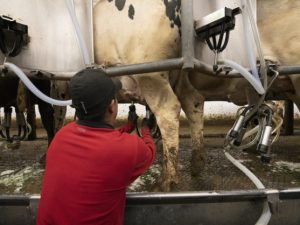 UK fight over dairy misinformation a ‘teachable moment’ for U.S. ag