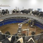 USDA Provides Milk Production Estimates for the Next Ten Years