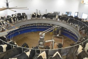 USDA Provides Milk Production Estimates for the Next Ten Years