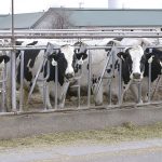 Western U.S. milk and cream report