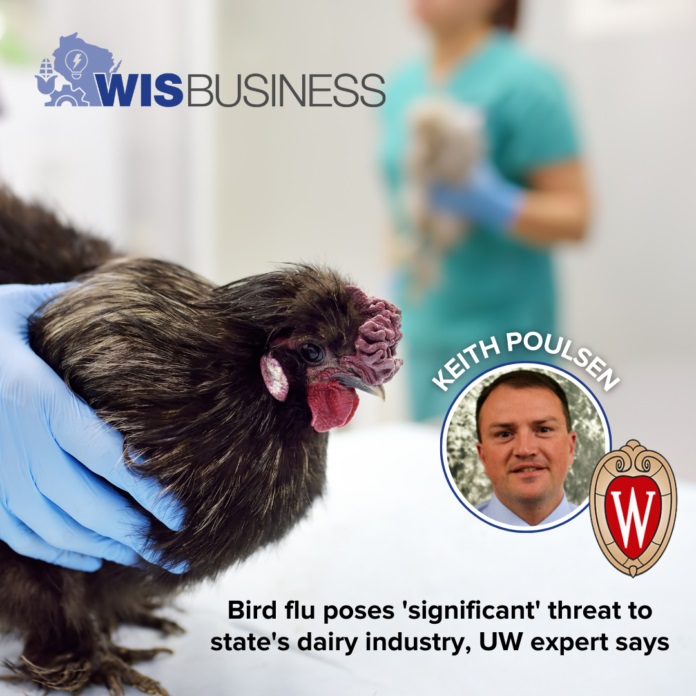 Bird flu poses ‘significant’ threat to state’s dairy industry, UW expert says