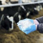 Bovaer claims had no 'significant' impact on dairy sales, Arla says