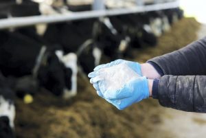 Bovaer claims had no 'significant' impact on dairy sales, Arla says