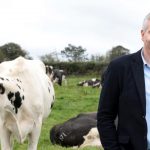 Dairy sector is ‘vitally important’ to economy – DCNI