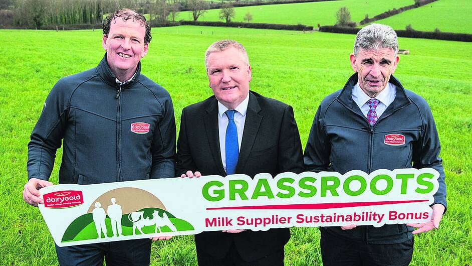 Dairygold’s updated sustainability bonus offers 33% increase to farmers