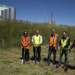 New UHT cream plant rises at Edendale