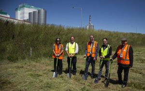 New UHT cream plant rises at Edendale