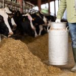 Number of Dairy Farmers Drops Below 10,000 in Japan