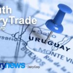 Uruguay closed 2024 with a solid performance in the dairy sector, consolidating its position as a leading exporter in the region. 