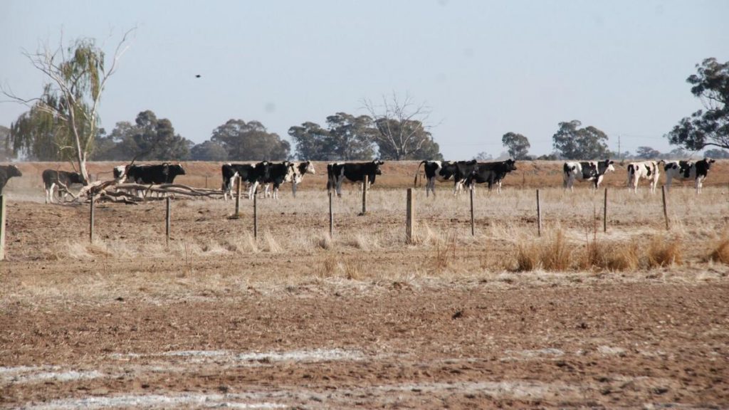 State funds for drought plans