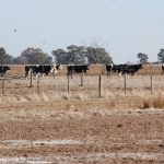 State funds for drought plans