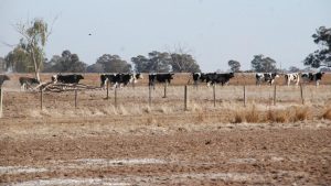 State funds for drought plans