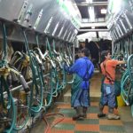 The Impact of Immigration Reform on U.S. Dairy Farms