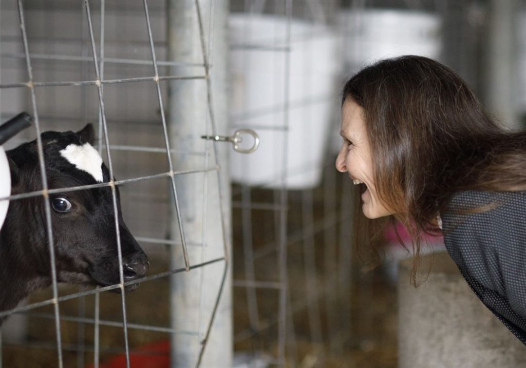 The future of dairy How a state apprenticeship program is training workers and boosting small businesses