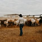 Why 2025 could be a bumper year for these Australian farmers