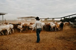 Why 2025 could be a bumper year for these Australian farmers