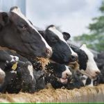 Arla under fire from environmental NGOs on their climate commitments