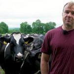 Clover and soil fertility on a Golden Vale dairy farm