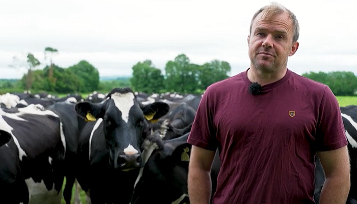 Clover and soil fertility on a Golden Vale dairy farm