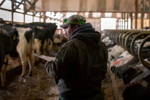 Dairy Farmers Worry Americans Might Have to 'Go Vegan' as Trump's Mass Deportations Threaten Farming Workforce