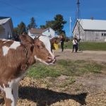 Dairy farmers concerned about their future amid federal funding freeze