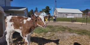 Dairy farmers concerned about their future amid federal funding freeze